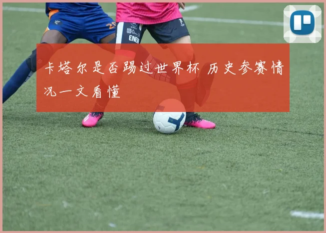 卡塔尔是否踢过世界杯 历史参赛情况一文看懂