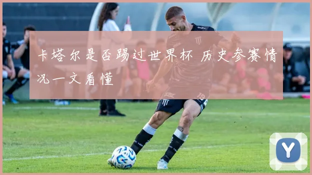 卡塔尔是否踢过世界杯 历史参赛情况一文看懂