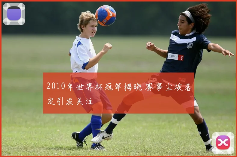 2010年世界杯冠军揭晓 赛事尘埃落定引发关注