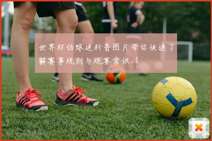 世界杯伪球迷科普图片带你快速了解赛事规则与观赛常识_1